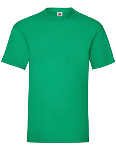 copy of FRUIT OF THE LOOM VALUEWEIGHT T